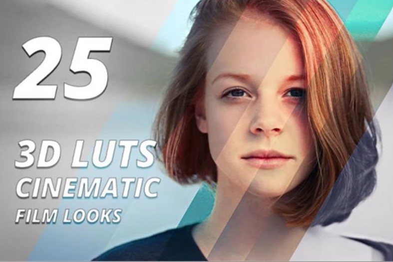 3D LUTs – Cinematic Film Looks Vol. 1 – CM 1323431