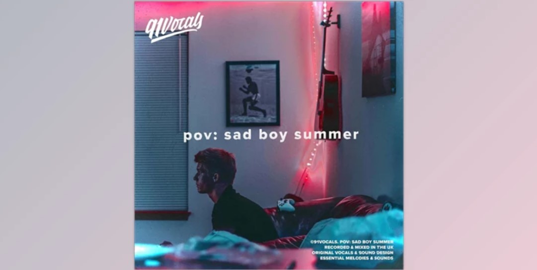 91Vocals POV Sad Boy Summer (WAV)