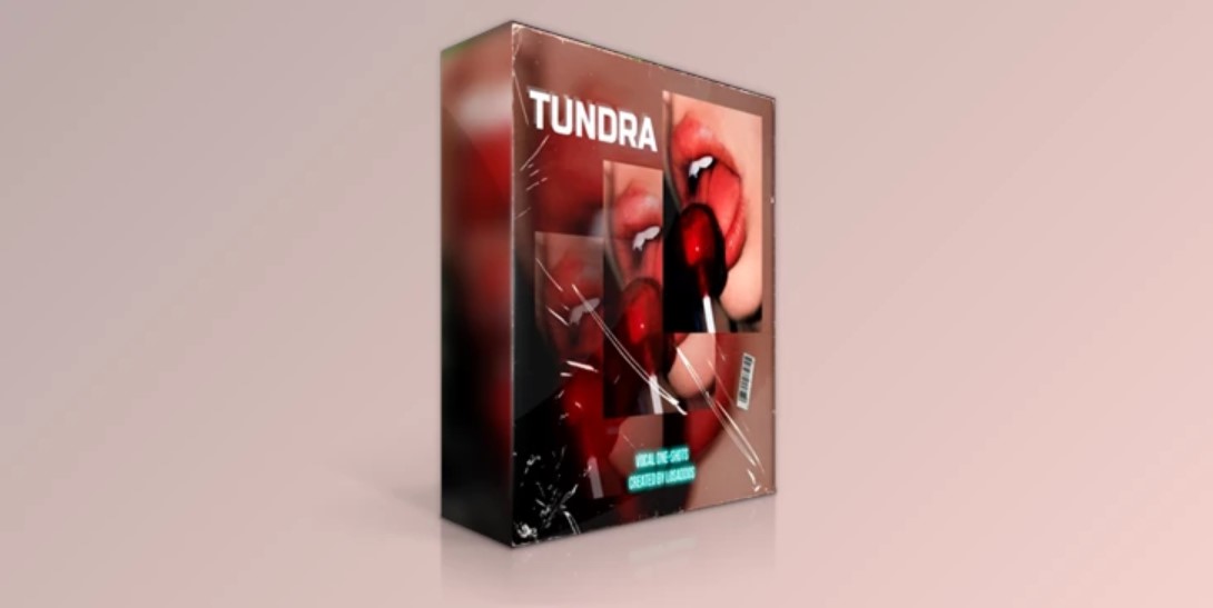 Losaddos TUNDRA Vocal One-Shots | Add Depth to Your Music | GFXVault