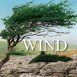 Wind Sound Effects Collection | 6.45 GB Broadcast WAV