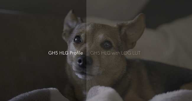 Daniel John Peters – GH5 & GH5S HLG LUTs