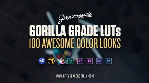 Gorilla Grade LUTs: Cinematic Color Grading for Your Projects